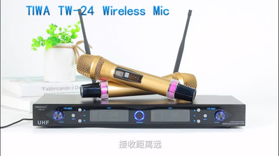 TIWA 2通道无线麦克风系统，用于教授公众用2个手持式发言
